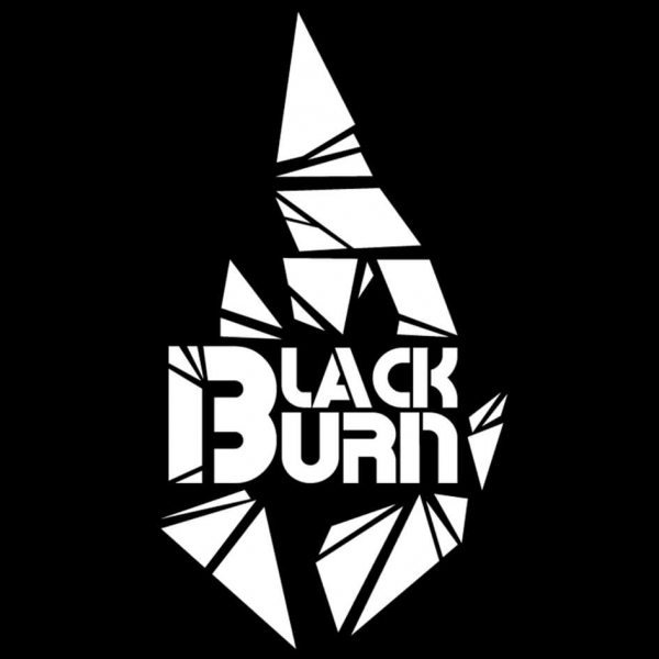 Купить Black Burn - Red Currant (Красная смородина) 25г