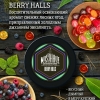 Купить Must Have - Berry Holls (Ягодный Холс) 25гр